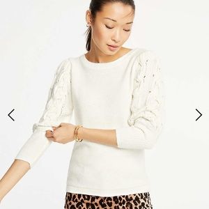 Cable Sleeve Sweater